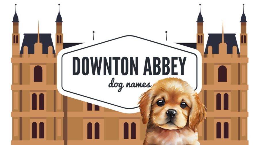 Dog Names Inspired by Downton Abbey