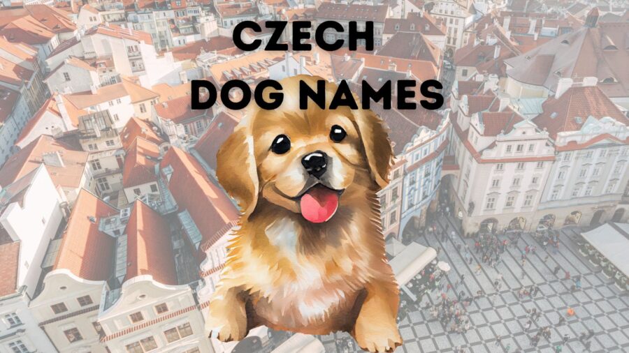 Czech dog names -- graphic of puppy with backdrop of Prague