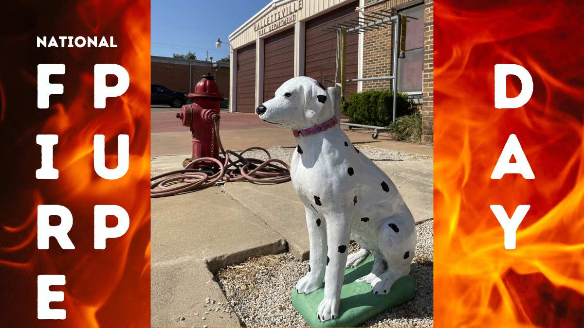 National Fire Pup Day A Tribute to Our FourLegged Heroes