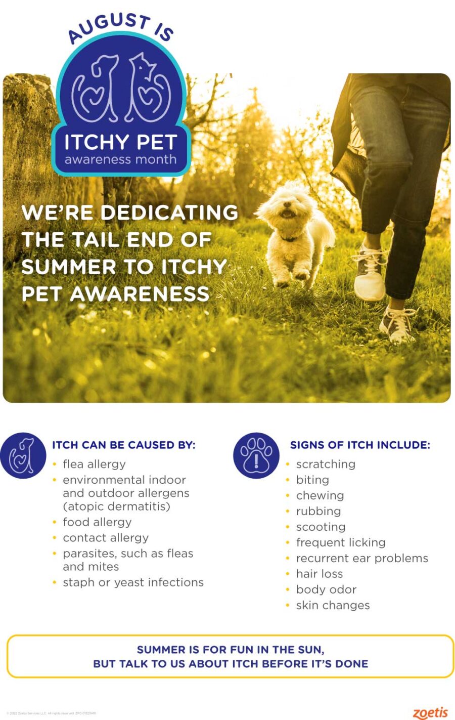 August is Itchy Pet Awareness Month