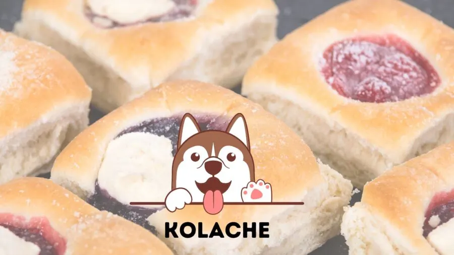 Image of kolaches, Czech pastries, with graphic of dog. Popular dog name in Texas.