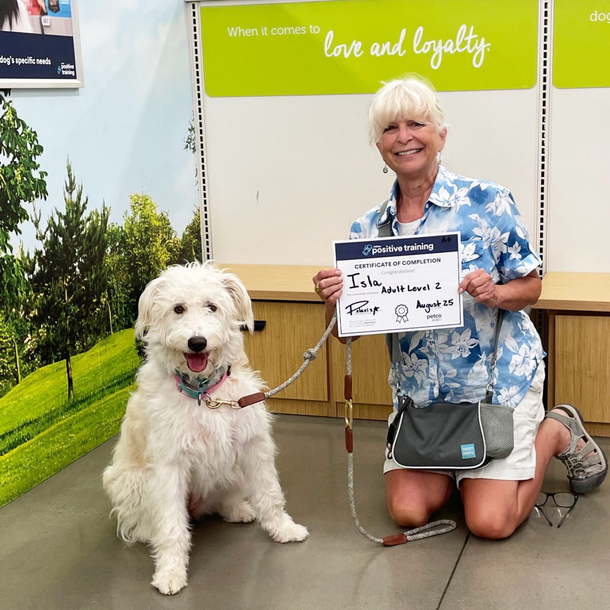 Petco Training Classes Review for Dogs 6 Months & Older