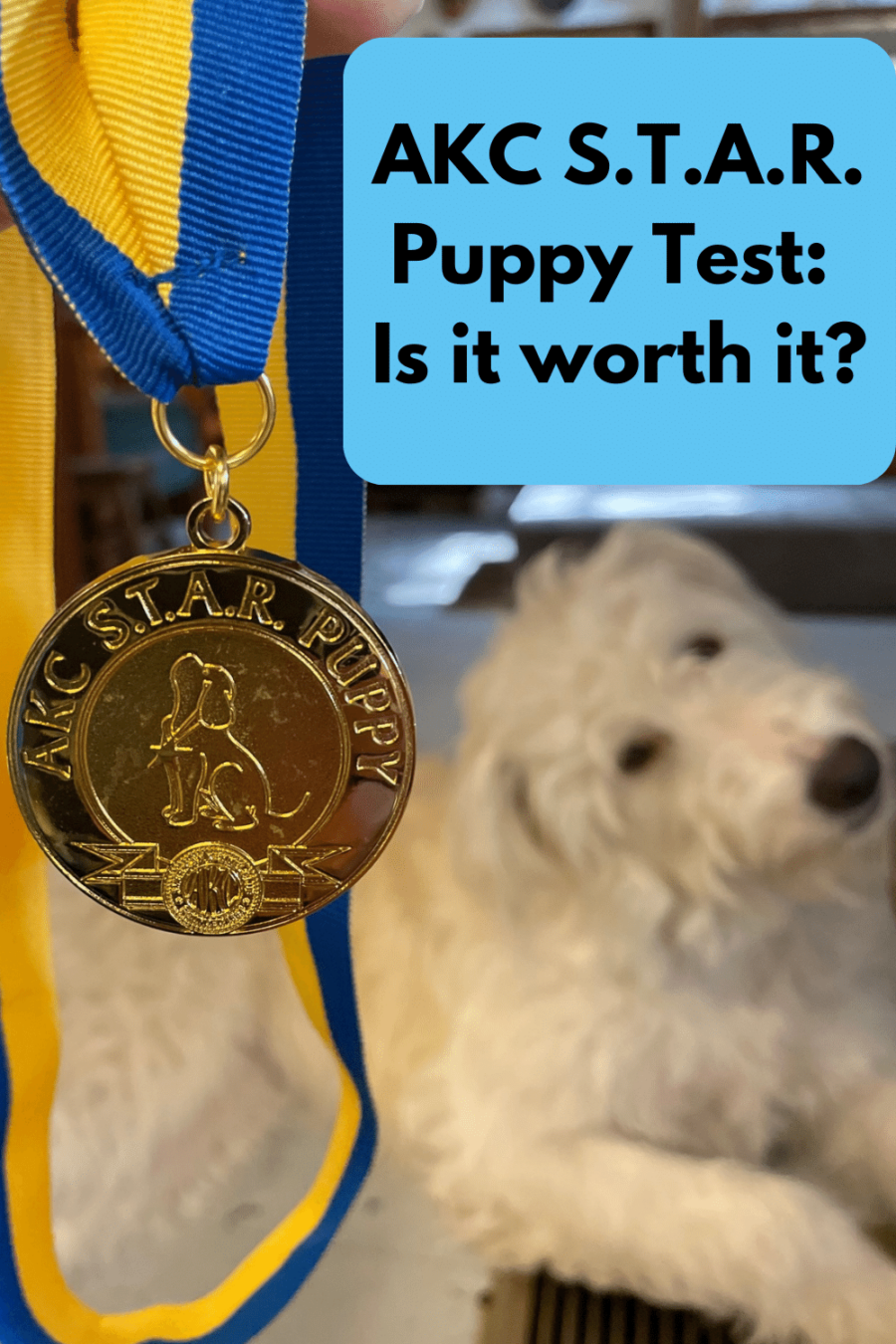 Puppy and AKC S.T.A.R. Puppy medal