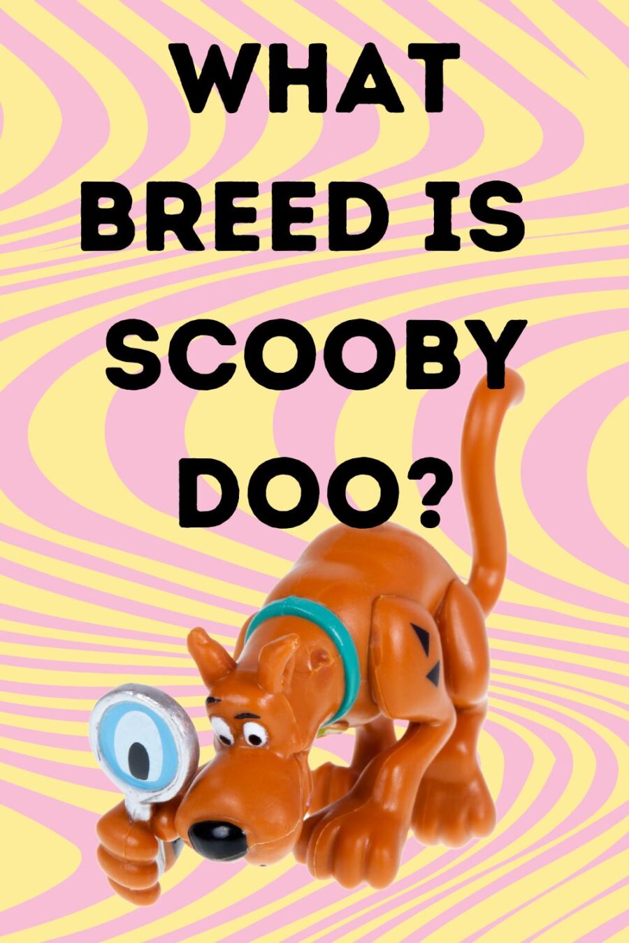 What kind of dog is Scooby Doo pinterest pin