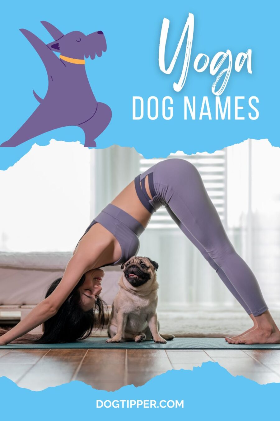 105 Yoga Names for Your dog