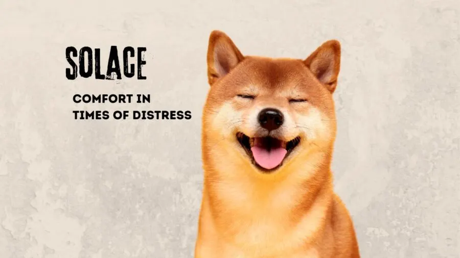 Solace - emo name for dog meaning comfort in distress; image of Shiba Inu on tan background