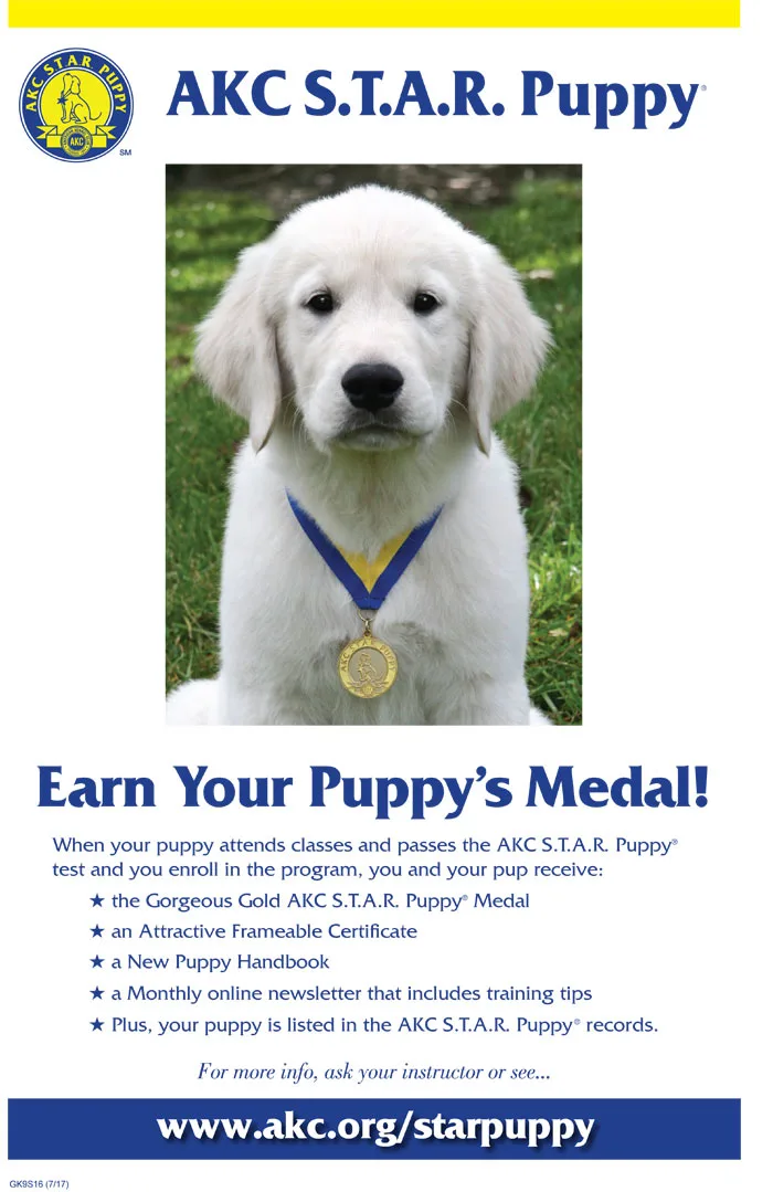 AKC poster for STAR Puppy program 
