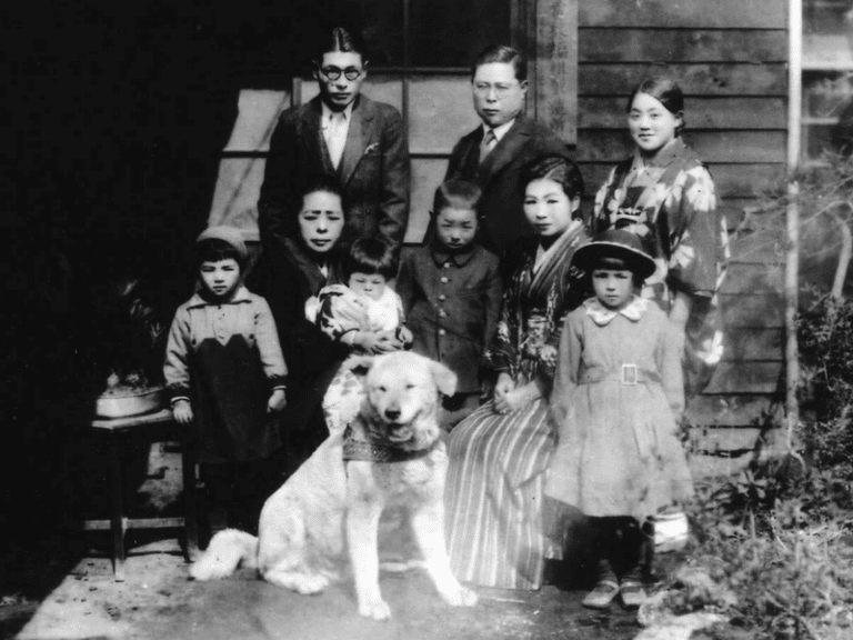 What Kind of Dog was Hachi?