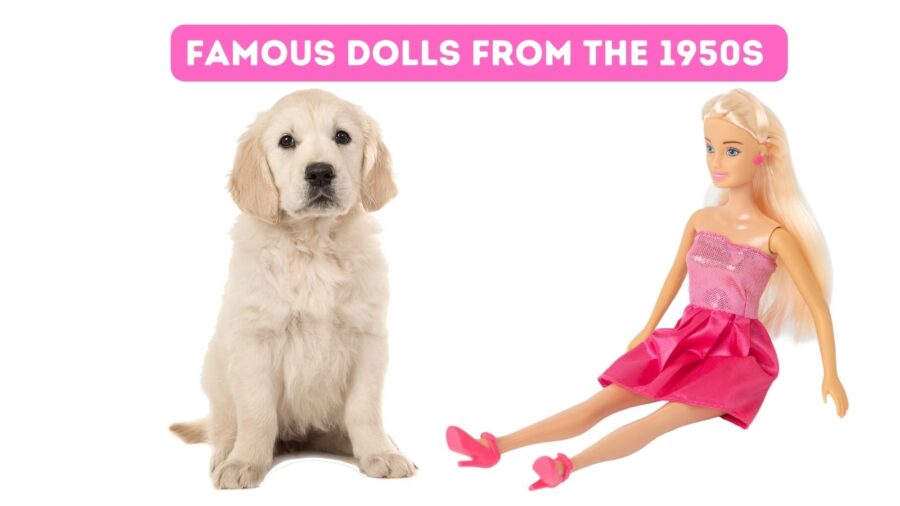 labrador puppy and Barbie doll - Famous doll names from the 1950s