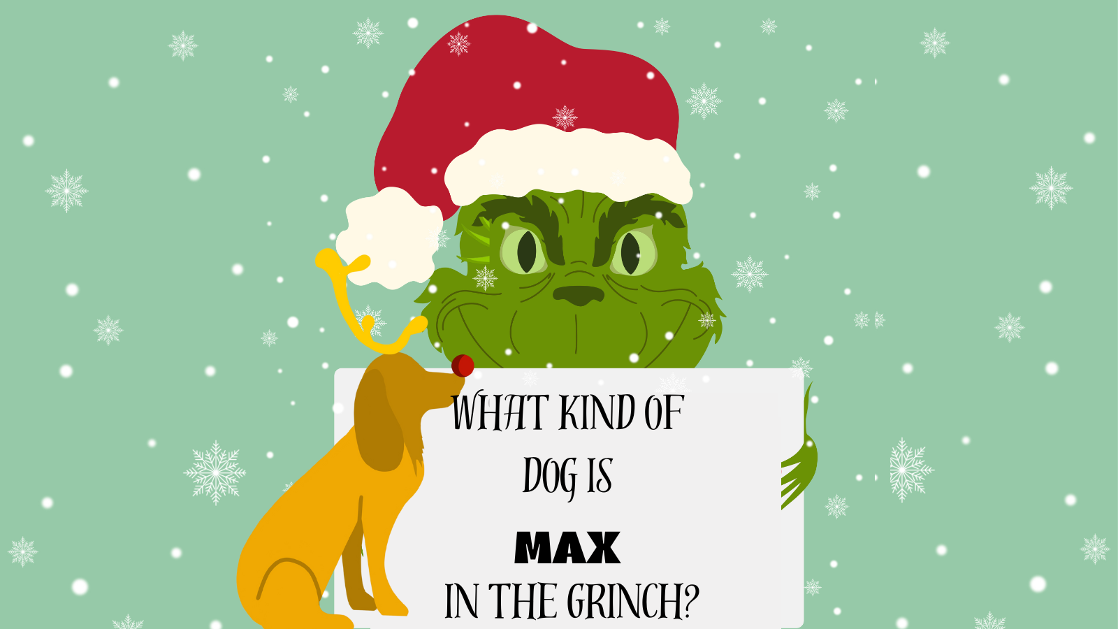 What Kind of Dog is Max from the Grinch? | Dog Training