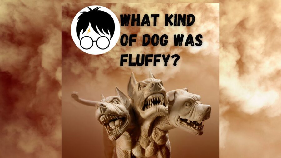 photo of statue of three headed dog and graphic symbolizing Harry Potter