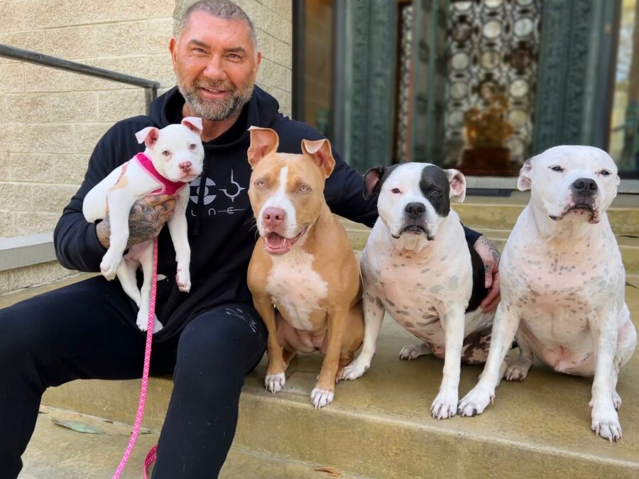 Dave Bautista and his rescue dogs