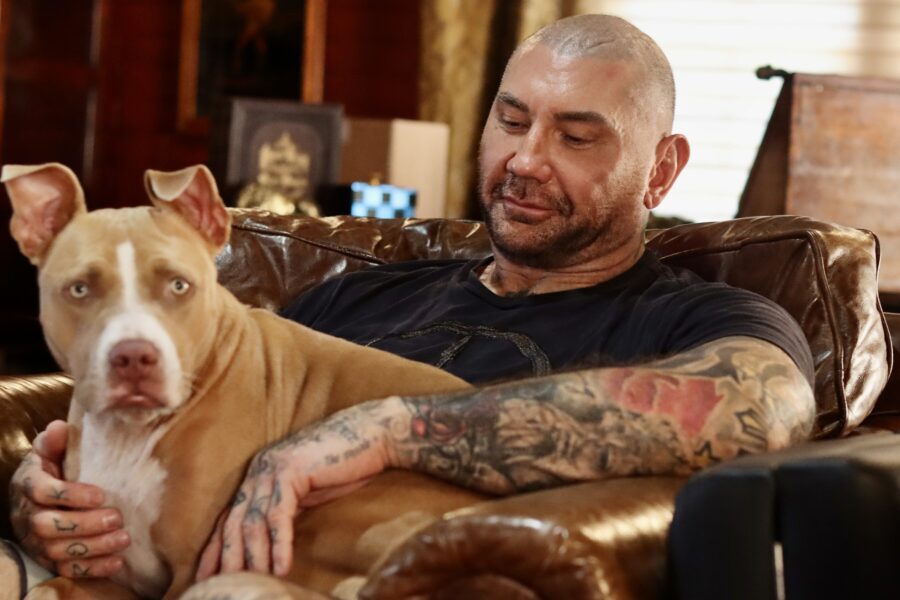 Dave Bautista and his pit bull