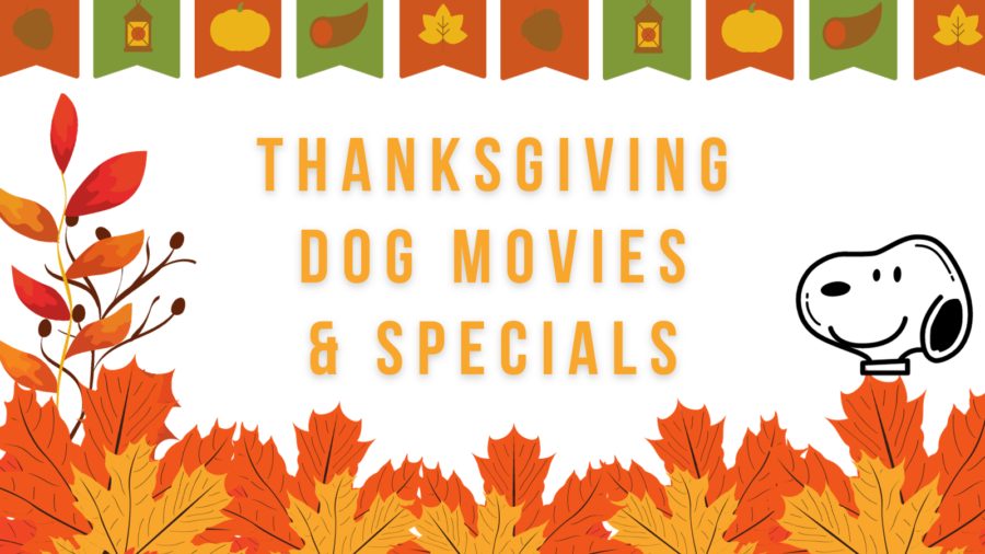 Thanksgiving dog movies and specials graphic with Snoopy like graphic