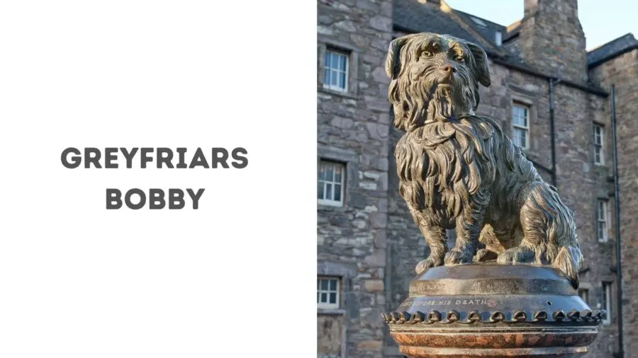Greyfriars Bobby Statue in Edinburgh