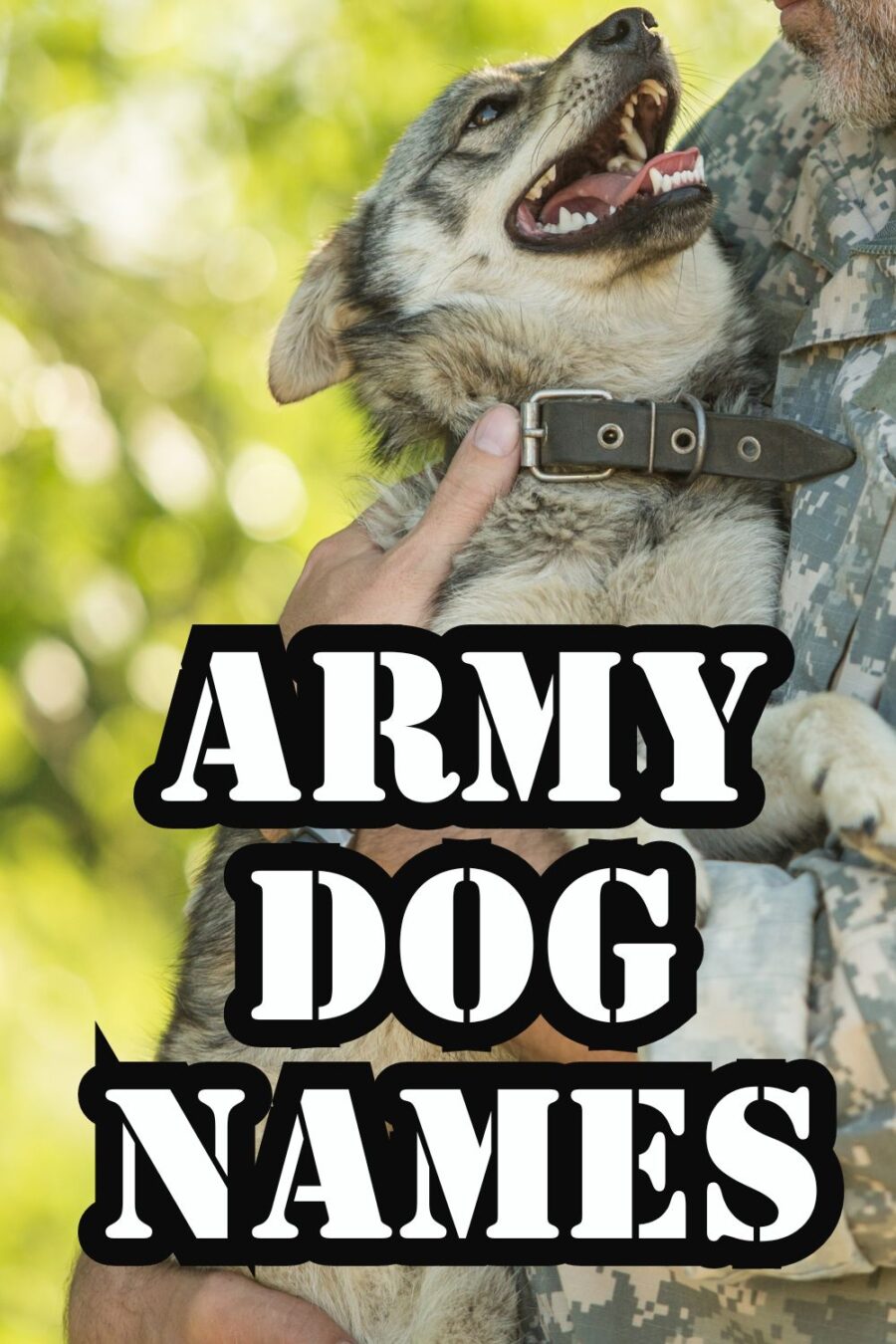 Image of soldier in camo holding a puppy with "army dog names" in lower half of photo