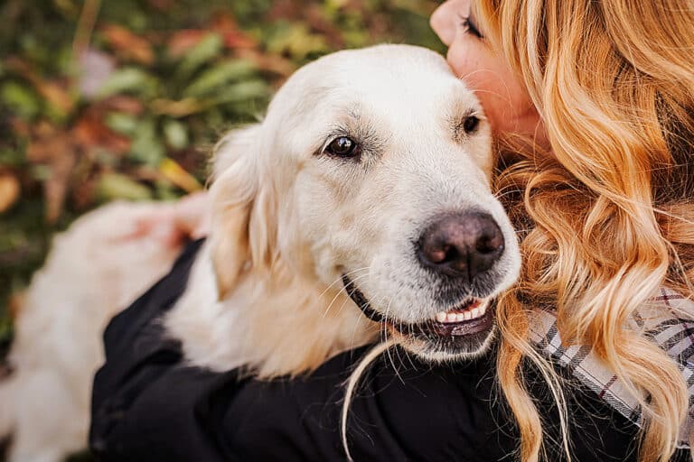 Selecting the Best Online Emotional Support Animal Letter Service