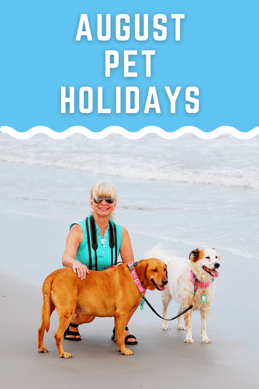 August pet holidays