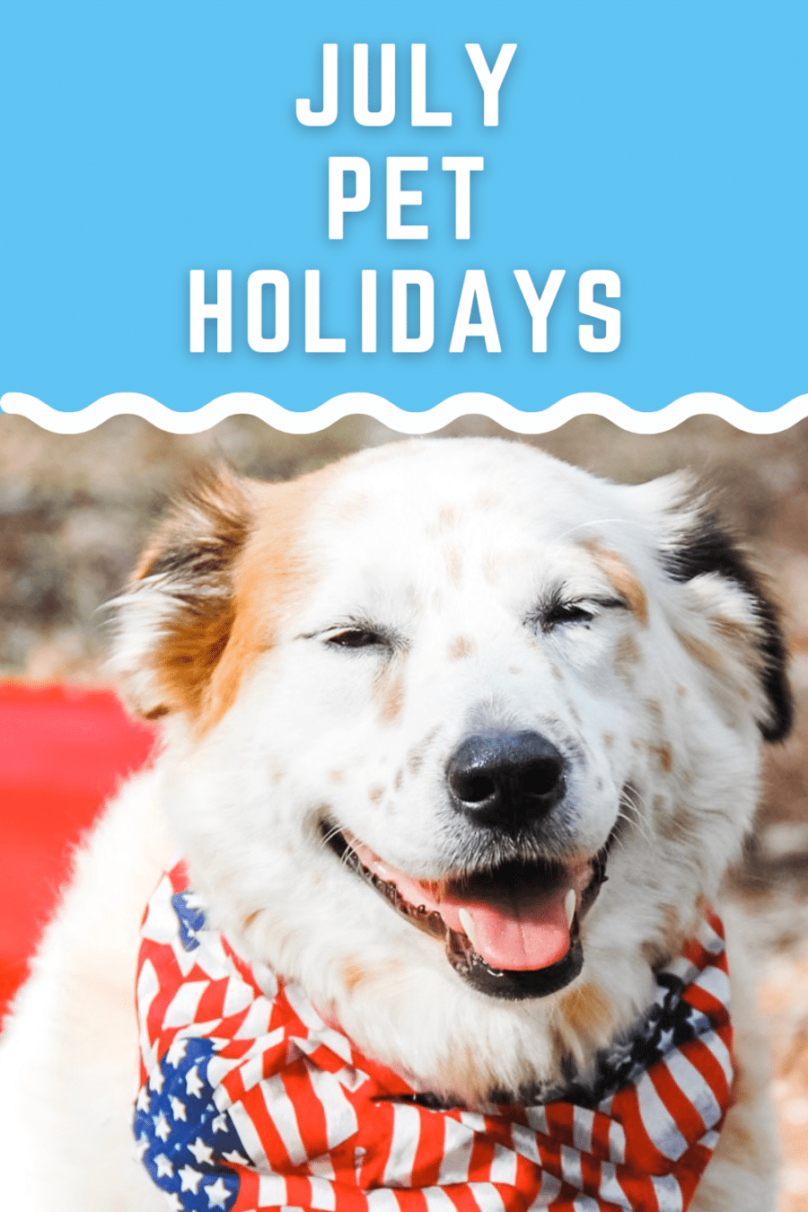 July pet holidays