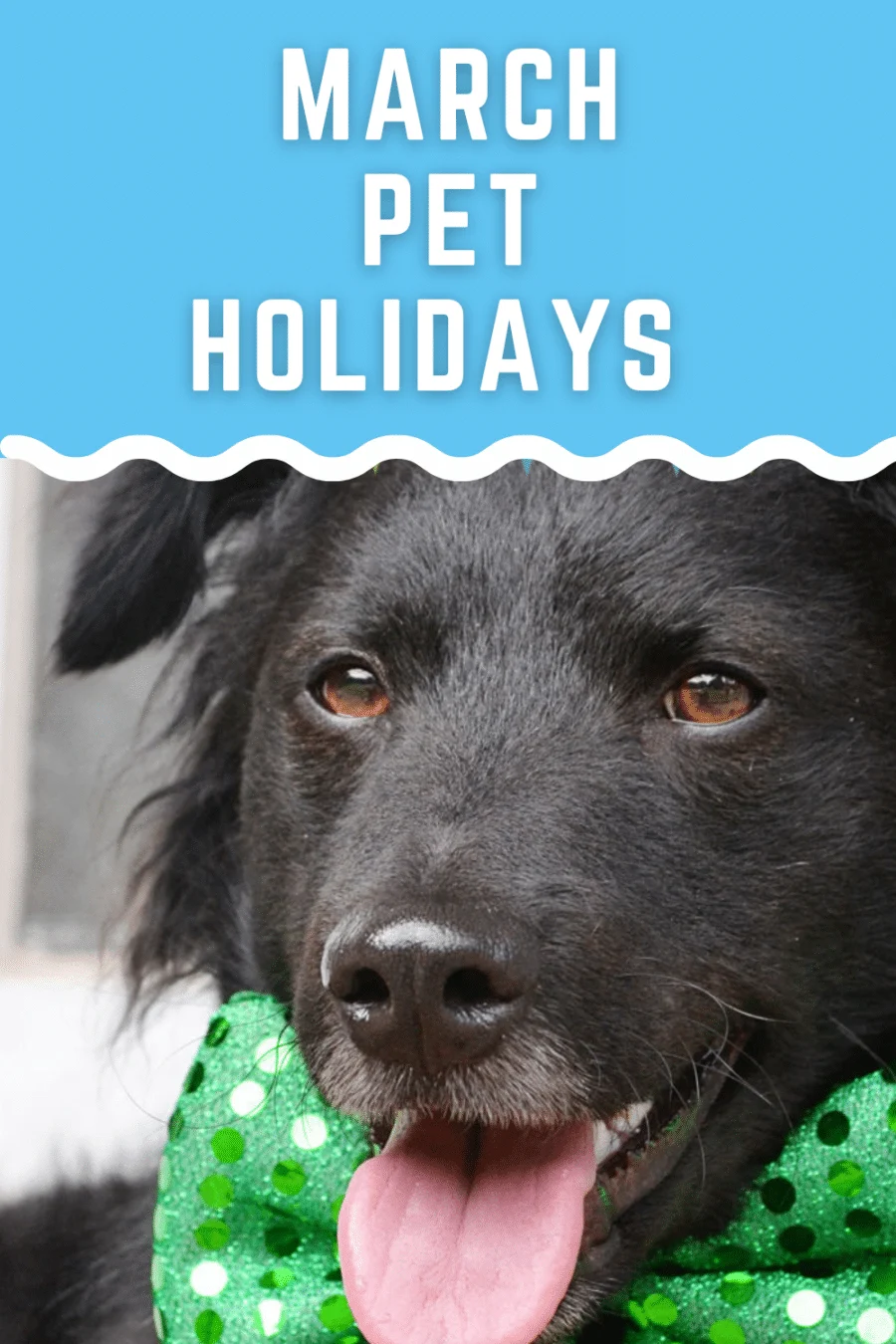 March pet holidays