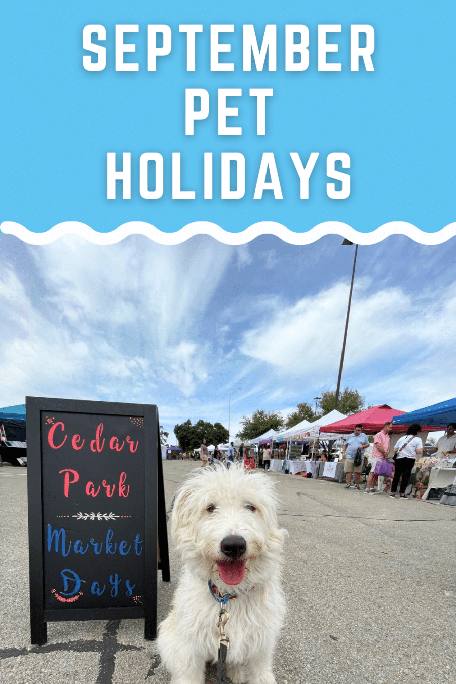 September dog holidays